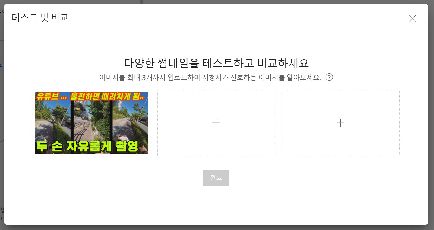 큐레이터 단비 글 이미지